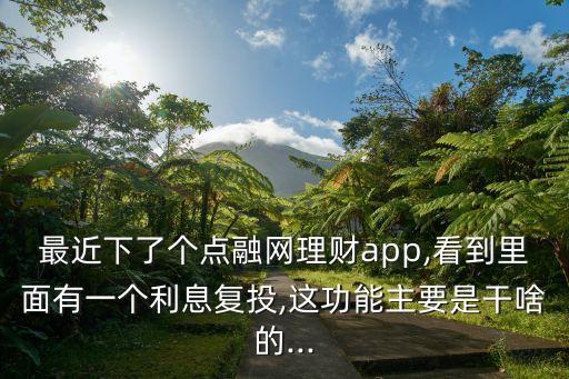 最近下了個(gè)點(diǎn)融網(wǎng)理財(cái)app,看到里面有一個(gè)利息復(fù)投,這功能主要是干啥的...