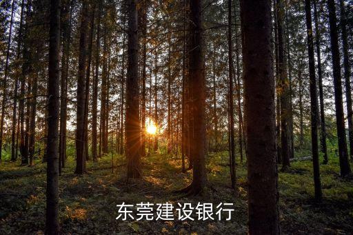 長(zhǎng)安建設(shè)支行電話是多少,石家莊長(zhǎng)安建設(shè)支行行號(hào)