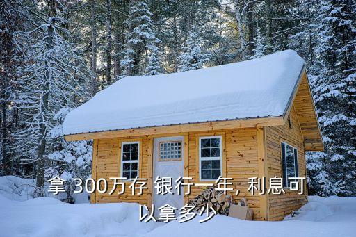 銀行300萬利息是多少,欠銀行300萬無力償還怎么辦