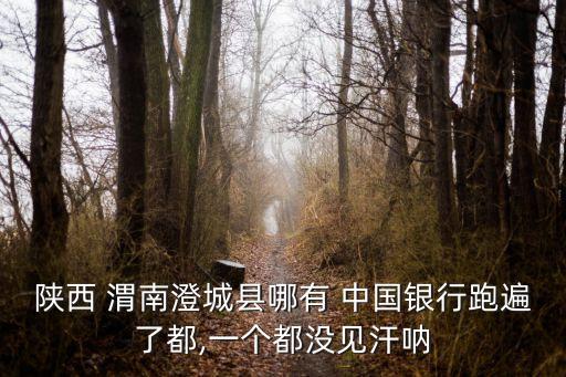 陜西 渭南澄城縣哪有 中國銀行跑遍了都,一個都沒見汗吶