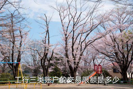  工行三類(lèi)賬戶的交易限額是多少