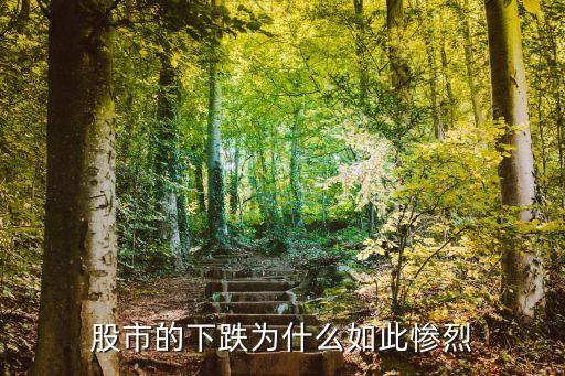 股市的下跌為什么如此慘烈