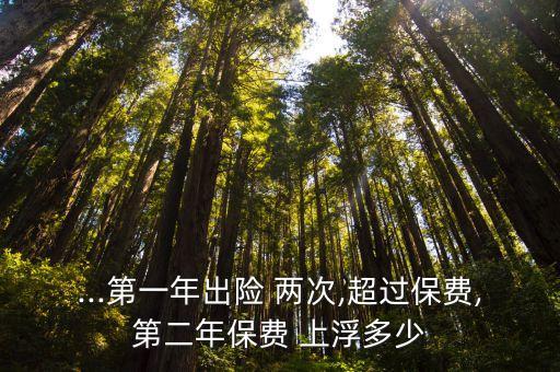 ...第一年出險 兩次,超過保費,第二年保費 上浮多少