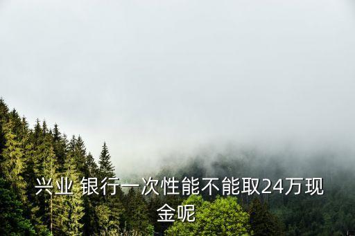  興業(yè) 銀行一次性能不能取24萬(wàn)現(xiàn)金呢