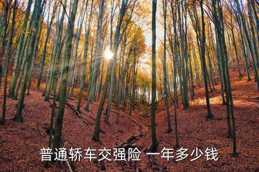 普通轎車交強險 一年多少錢