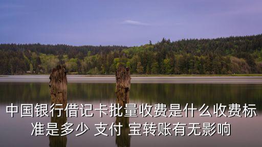 中國(guó)銀行借記卡批量收費(fèi)是什么收費(fèi)標(biāo)準(zhǔn)是多少 支付 寶轉(zhuǎn)賬有無(wú)影響