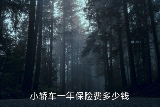 家用汽車上全險(xiǎn)多少錢