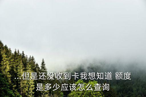 ...但是還沒收到卡我想知道 額度是多少應該怎么查詢