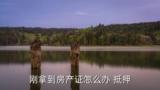 一般房證下來后多少天能進抵押