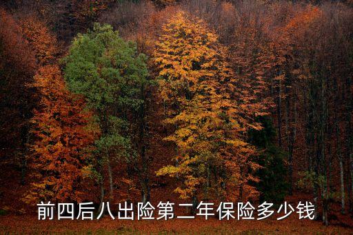 前四后八出險(xiǎn)第二年保險(xiǎn)多少錢(qián)