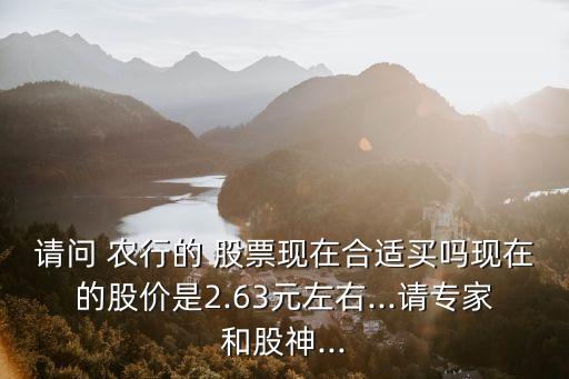 請(qǐng)問(wèn) 農(nóng)行的 股票現(xiàn)在合適買(mǎi)嗎現(xiàn)在的股價(jià)是2.63元左右...請(qǐng)專家和股神...