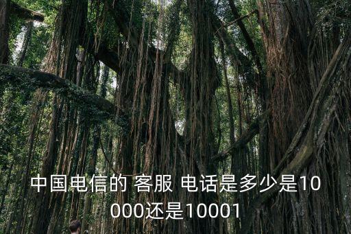 中國(guó)電信的 客服 電話是多少是10000還是10001