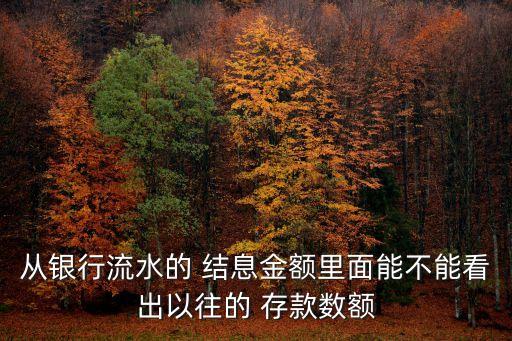 從銀行流水的 結(jié)息金額里面能不能看出以往的 存款數(shù)額