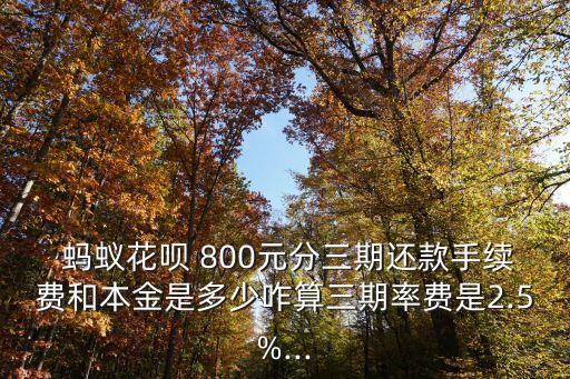 螞蟻花唄800分期利息多少錢,花唄800分期12個月利息多少