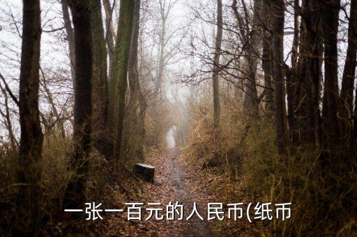 一張一百元的人民幣(紙幣