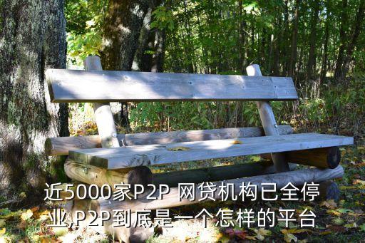 近5000家P2P 網(wǎng)貸機(jī)構(gòu)已全停業(yè),P2P到底是一個(gè)怎樣的平臺(tái)