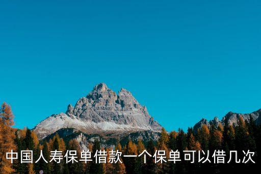 中國(guó)人壽保單借款一個(gè)保單可以借幾次