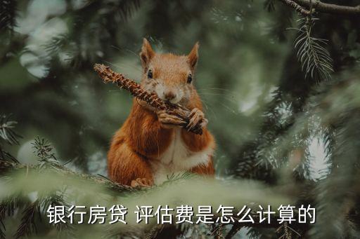 銀行如何評估貸款多少,銀行評估貸款價(jià)格就是房子實(shí)際價(jià)格