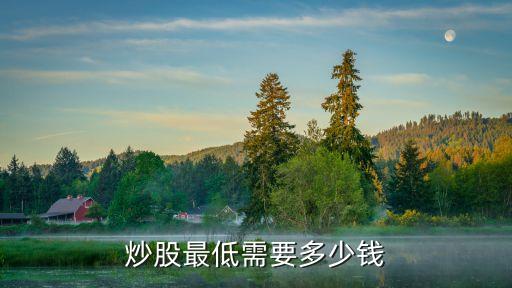 一只股票多少錢,哪只股票可以入手