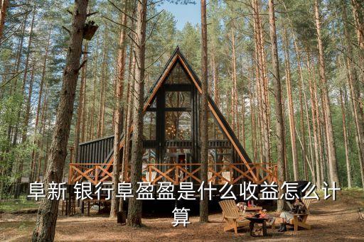  阜新 銀行阜盈盈是什么收益怎么計(jì)算