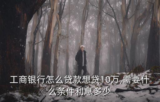 工商銀行怎么貸款想貸10萬,需要什么條件利息多少