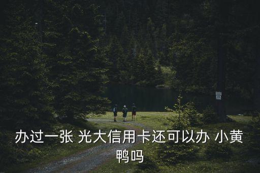辦過(guò)一張 光大信用卡還可以辦 小黃鴨嗎