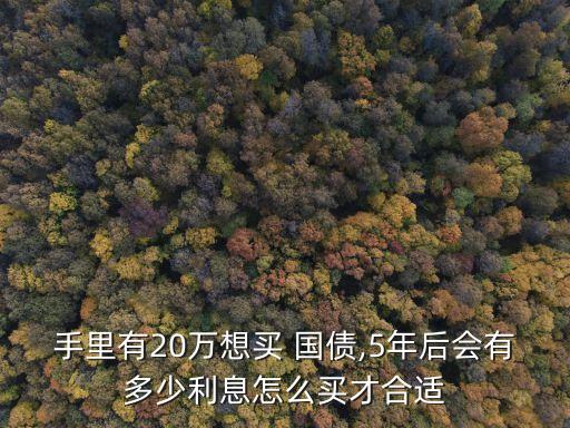 手里有20萬想買 國債,5年后會(huì)有多少利息怎么買才合適