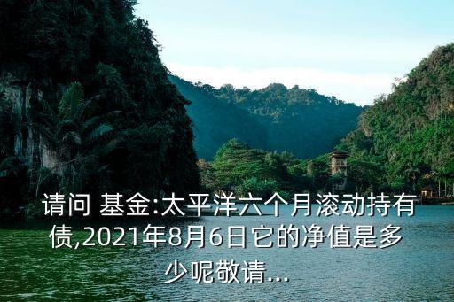 請問161031基金多少錢