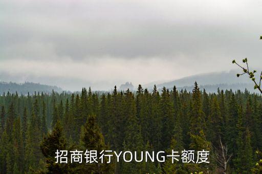  招商銀行YOUNG卡額度