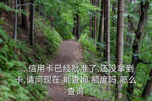... 信用卡已經(jīng)批準(zhǔn)了,還沒(méi)拿到卡,請(qǐng)問(wèn)現(xiàn)在 能查詢(xún) 額度嗎,怎么查詢(xún)