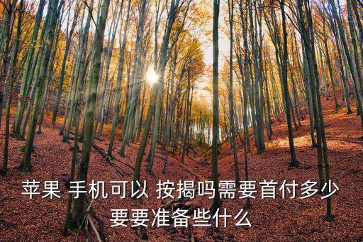 蘋果 手機可以 按揭嗎需要首付多少要要準備些什么