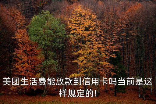 美團(tuán)生活費(fèi)能放款到信用卡嗎當(dāng)前是這樣規(guī)定的!