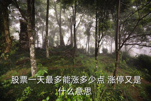  股票一天最多能漲多少點 漲停又是什么意思