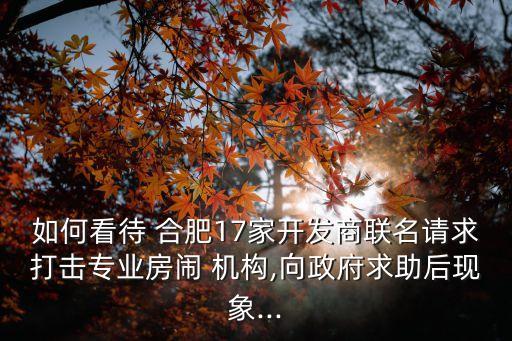 如何看待 合肥17家開發(fā)商聯名請求打擊專業(yè)房鬧 機構,向政府求助后現象...