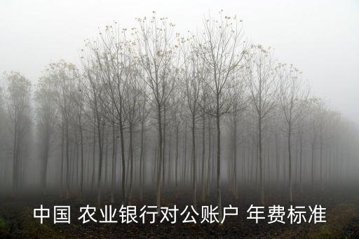 中國(guó) 農(nóng)業(yè)銀行對(duì)公賬戶 年費(fèi)標(biāo)準(zhǔn)