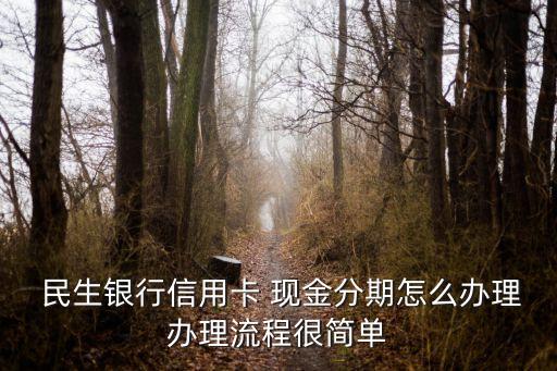  民生銀行信用卡 現(xiàn)金分期怎么辦理辦理流程很簡單