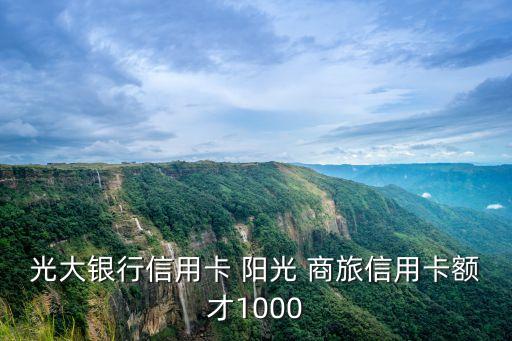 光大銀行信用卡 陽光 商旅信用卡額才1000