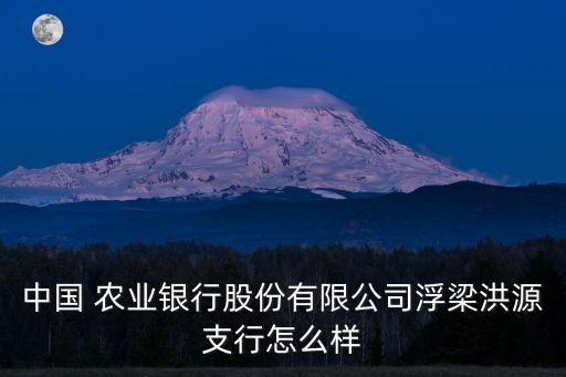 中國(guó) 農(nóng)業(yè)銀行股份有限公司浮梁洪源支行怎么樣