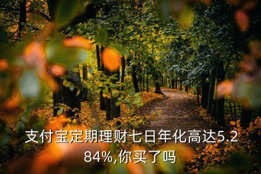 支付寶定期理財(cái)七日年化高達(dá)5.284%,你買了嗎