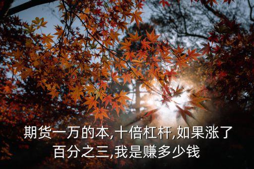  期貨一萬的本,十倍杠桿,如果漲了百分之三,我是賺多少錢