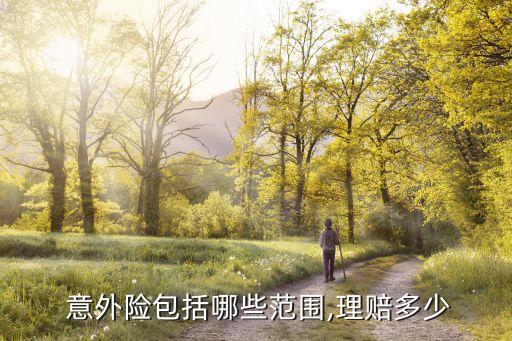  意外險包括哪些范圍,理賠多少