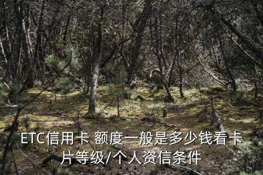 ETC信用卡 額度一般是多少錢看卡片等級/個人資信條件
