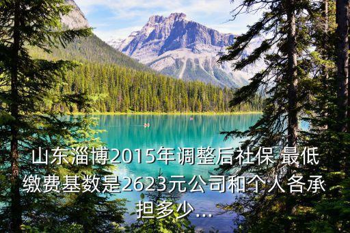 2015五險(xiǎn)最低標(biāo)準(zhǔn)交多少,輔警交的五險(xiǎn)是最低標(biāo)準(zhǔn)嗎