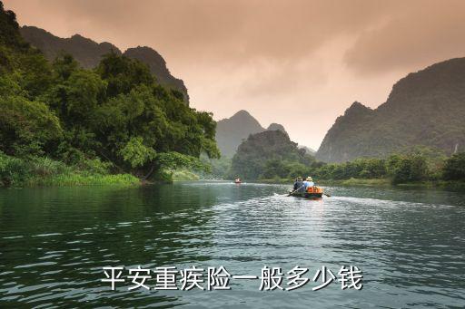 平安保險(xiǎn)重大疾病保費(fèi)是多少