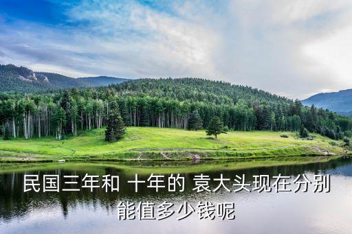 銀行收袁大頭十年多少錢,哪個銀行收袁大頭