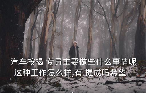汽車貸款專員提成多少錢,貸款專員提成20個(gè)點(diǎn)怎么算