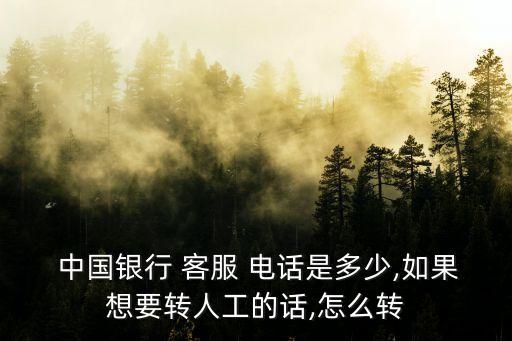 中國銀行珠海客服電話是多少錢,廣東珠海中國銀行客服電話