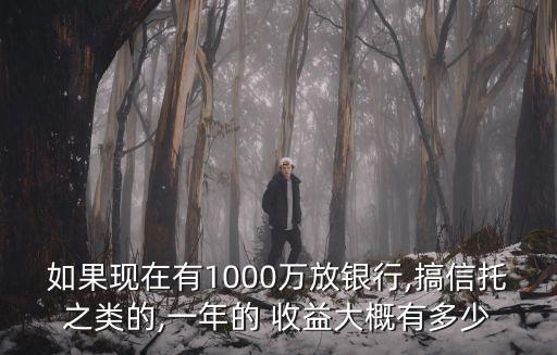 如果現(xiàn)在有1000萬放銀行,搞信托之類的,一年的 收益大概有多少