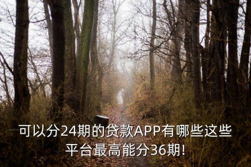 可以分24期的貸款APP有哪些這些平臺最高能分36期!