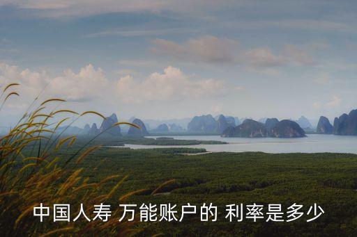 中國人壽 萬能賬戶的 利率是多少